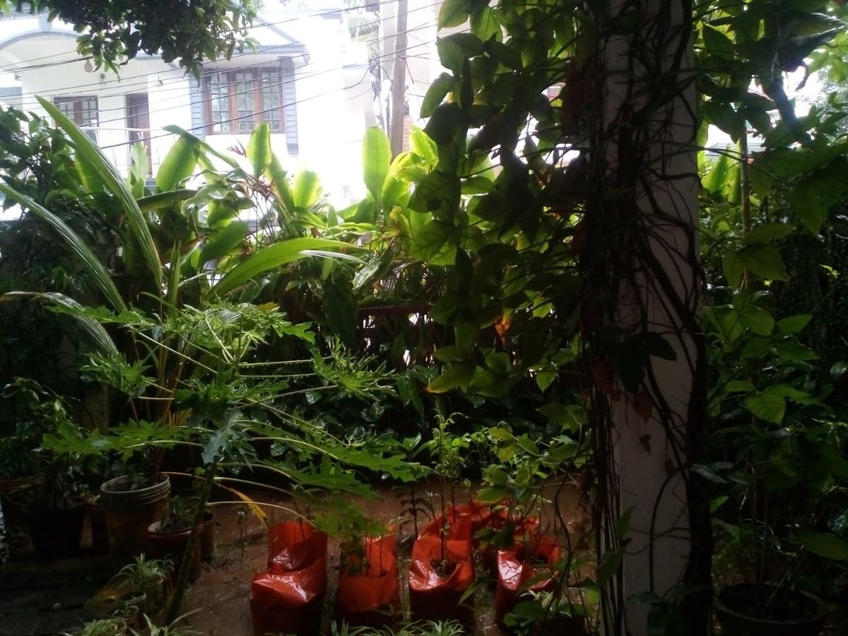 Nathans Holiday Home Kochi Esterno foto