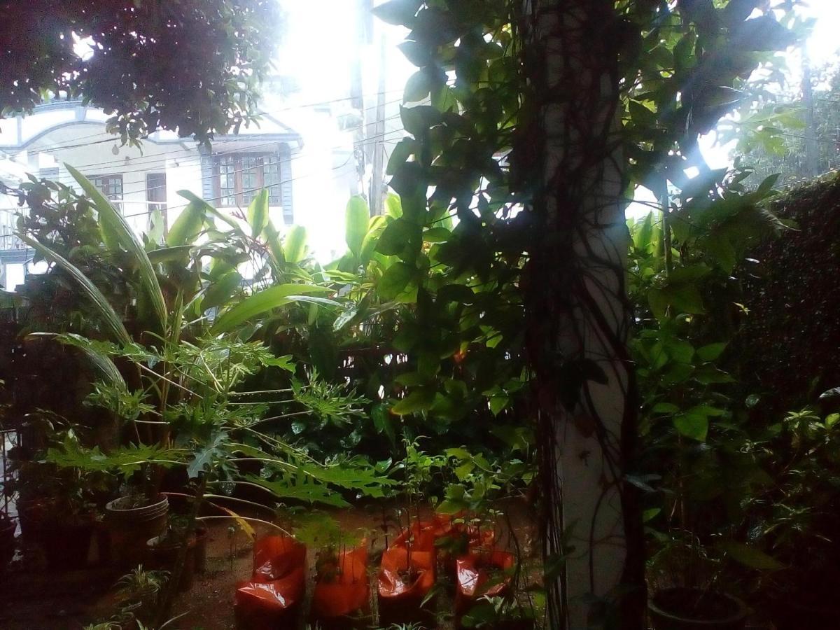 Nathans Holiday Home Kochi Esterno foto